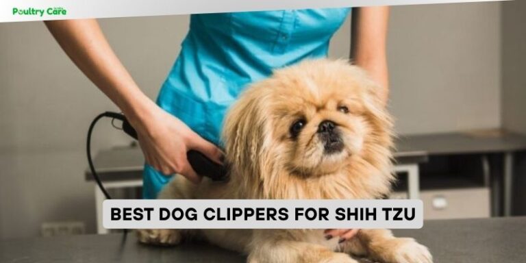 Image result for 10 Best Dog Clippers For Shih Tzu 2026: Top Picks - Poultry Care Sunday