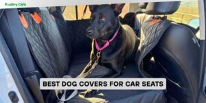 best dog covers for car seats