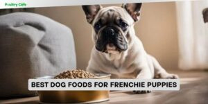 best dog foods for frenchie puppies