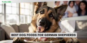 best dog foods for german shepherds