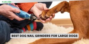 best dog nail grinders for large dogs