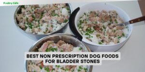 best non prescription dog foods for bladder stones