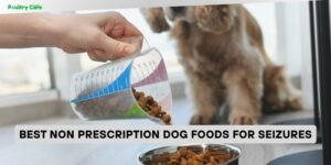 best non prescription dog foods for seizures