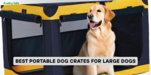 best portable dog crates for large dogs