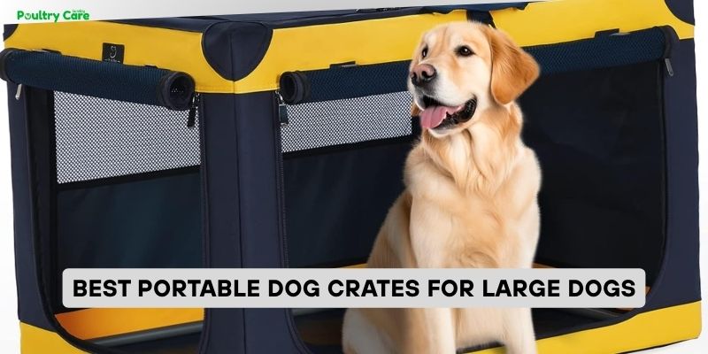best portable dog crates for large dogs