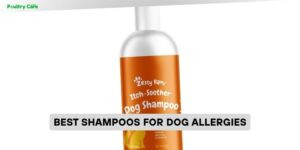 best shampoos for dog allergies