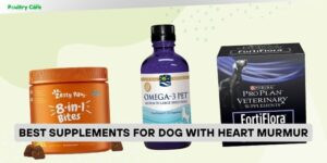 best supplements for dog with heart murmur