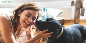 how much is an emotional support dog for anxiety