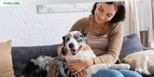 how much more will a dog breed increase insurance