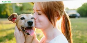 how to tell what breed my dog is