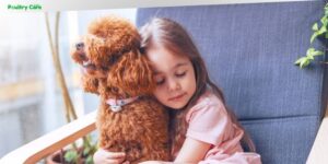 what dog breed do i look like