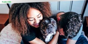 what is the most affectionate dog breed