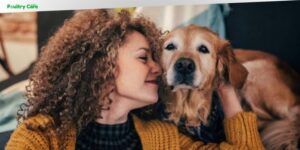what your dog breed says about you