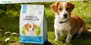 are dog food bags recyclable