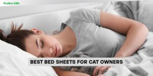 best bed sheets for cat owners