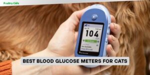 best blood glucose meters for cats