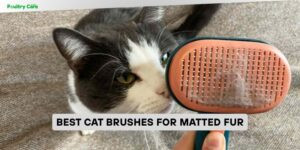 best cat brushes for matted fur