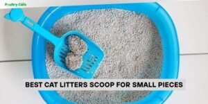 best cat litters scoop for small pieces