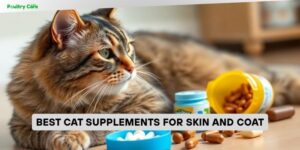 best cat supplements for skin and coat