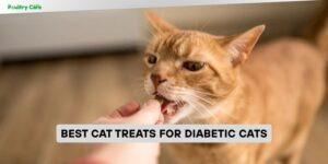 best cat treats for diabetic cats
