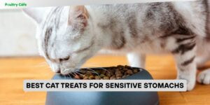 best cat treats for sensitive stomachs