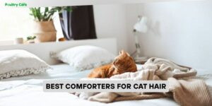 best comforters for cat hair