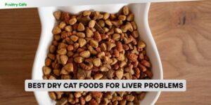 best dry cat foods for liver problems