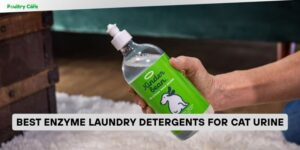 best enzyme laundry detergents for cat urine