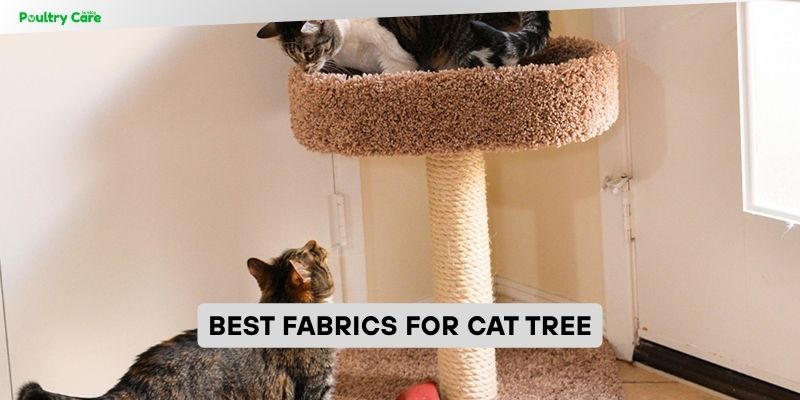 best fabrics for cat tree