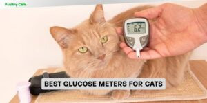best glucose meters for cats
