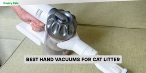 best hand vacuums for cat litter