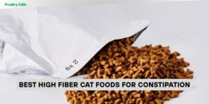 best high fiber cat foods for constipation