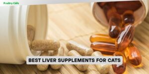 best liver supplements for cats