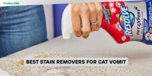 best stain removers for cat vomit