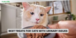 best treats for cats with urinary issues