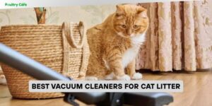 best vacuum cleaners for cat litter