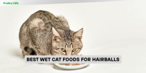 best wet cat foods for hairballs