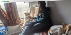 can a dog travel on a train