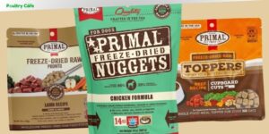 can primal nuggets dog food good for puppies