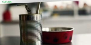 can you store open canned dog food in the can