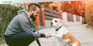 do you tip a dog trainer