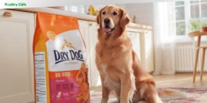 how long does dog food last once opened