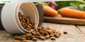 how long does dog food last unopened