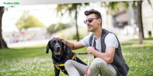how long does it take to train a service dog