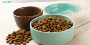 how many cups in a pound of dog food