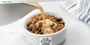 how to make dog food gravy