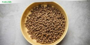 how to make dry dog food
