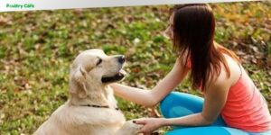 how to train an emotional support dog