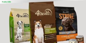 is 4health a good dog food