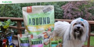 is abound a good dog food